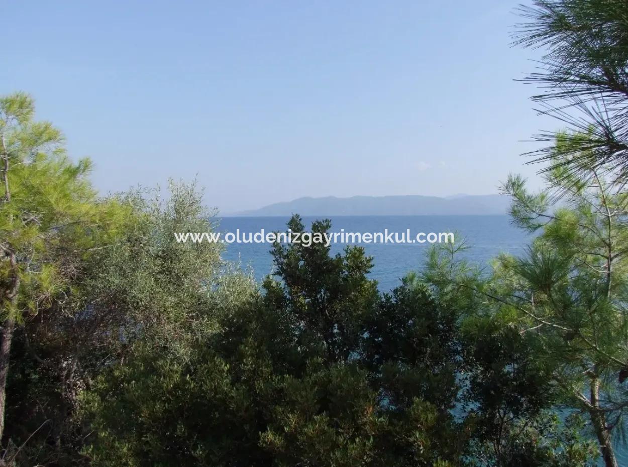 Beachfront Bungalow For Sale In Akbuk By The Sea In A Plot Of 800M2 Villa For Sale Turnalı