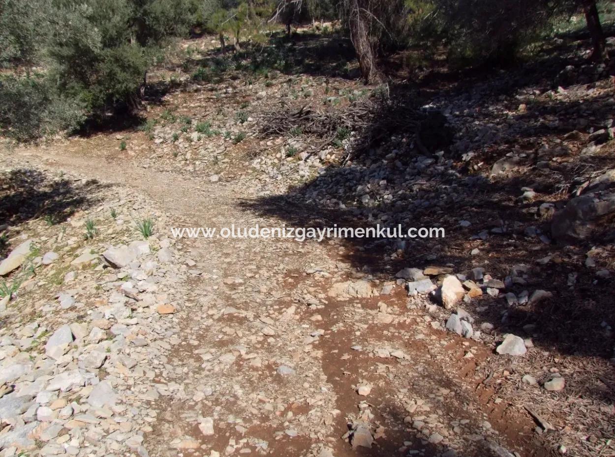 Çandır 5367M2 Farm Land For Sale Sea Views