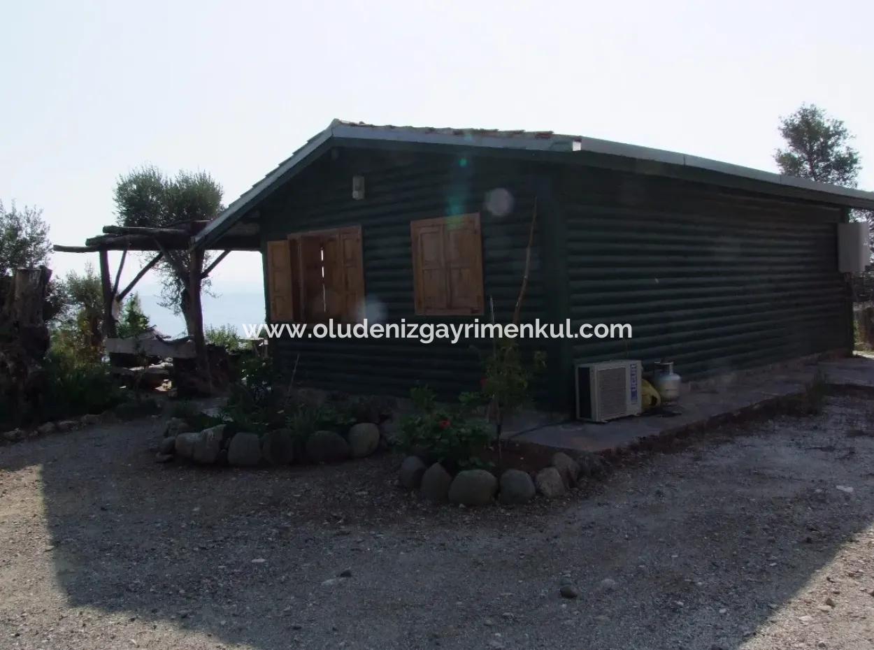 Beachfront Bungalow For Sale In Akbuk By The Sea In A Plot Of 800M2 Villa For Sale Turnalı