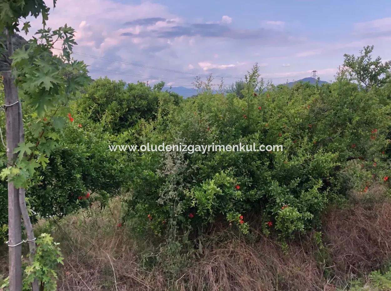 722M2 Plot For Sale In Dalyan Gülpınar For Sale