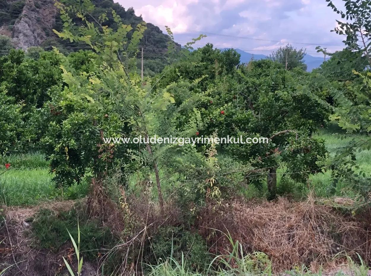 722M2 Plot For Sale In Dalyan Gülpınar For Sale