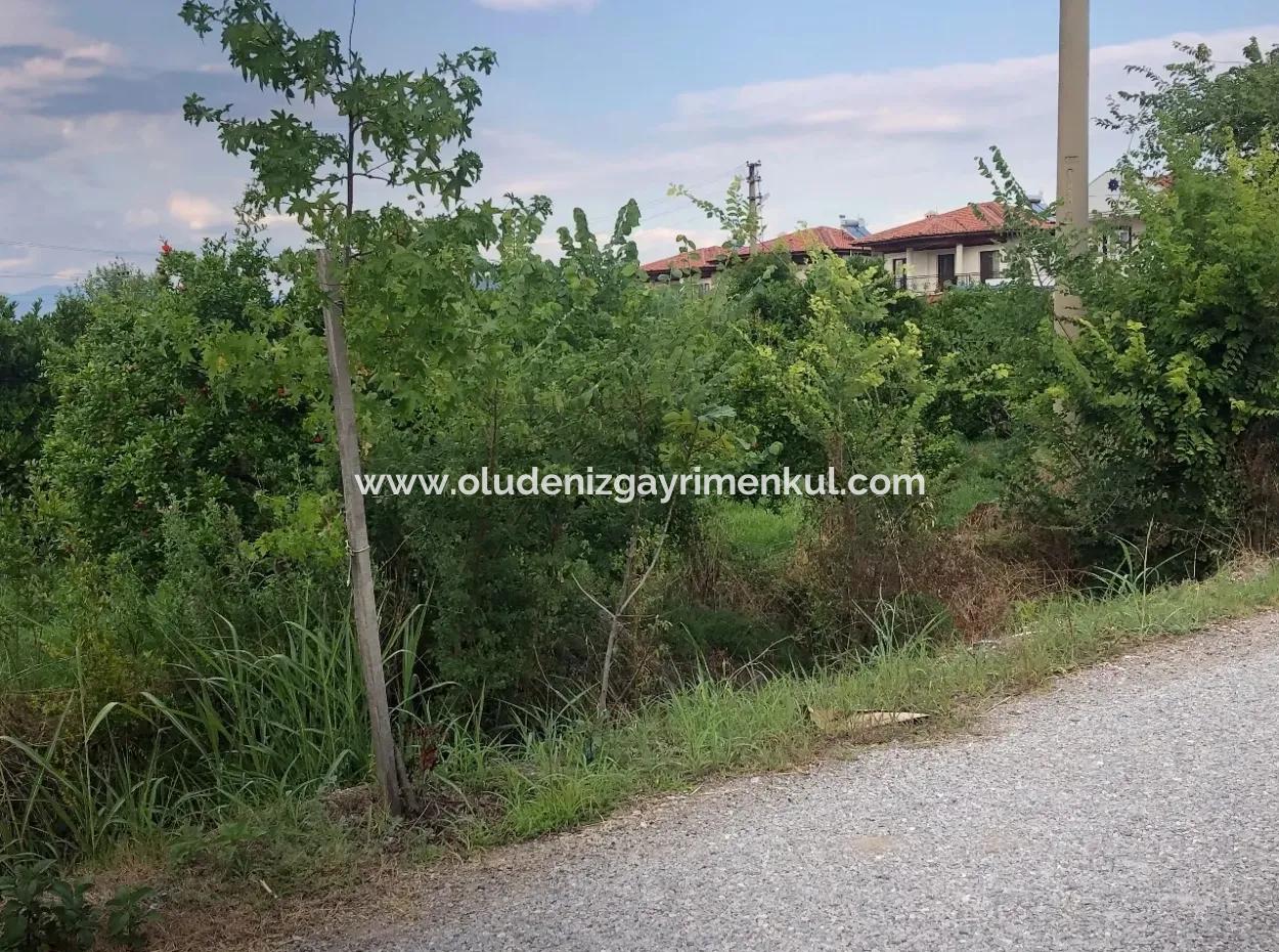 722M2 Plot For Sale In Dalyan Gülpınar For Sale