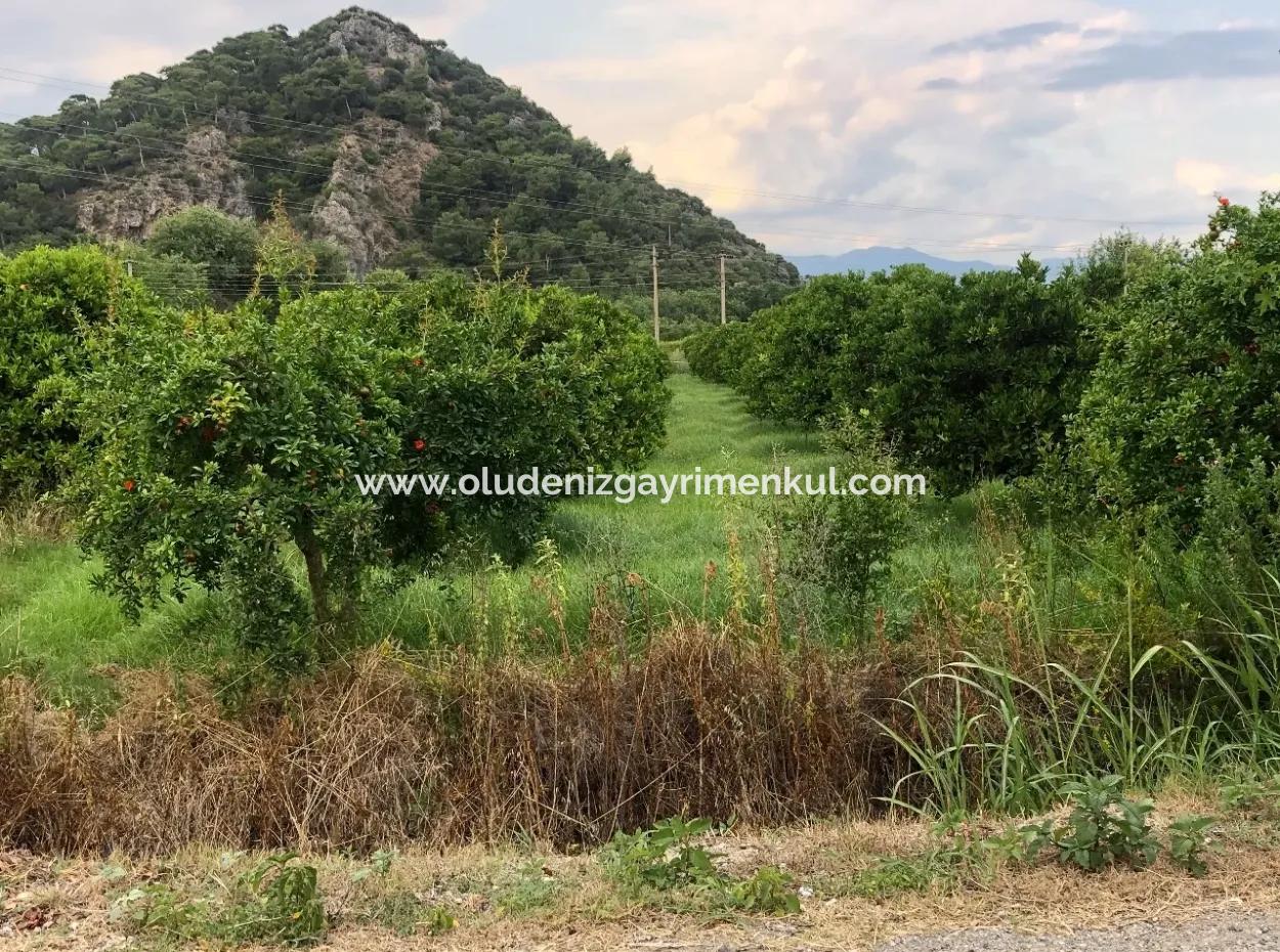 722M2 Plot For Sale In Dalyan Gülpınar For Sale