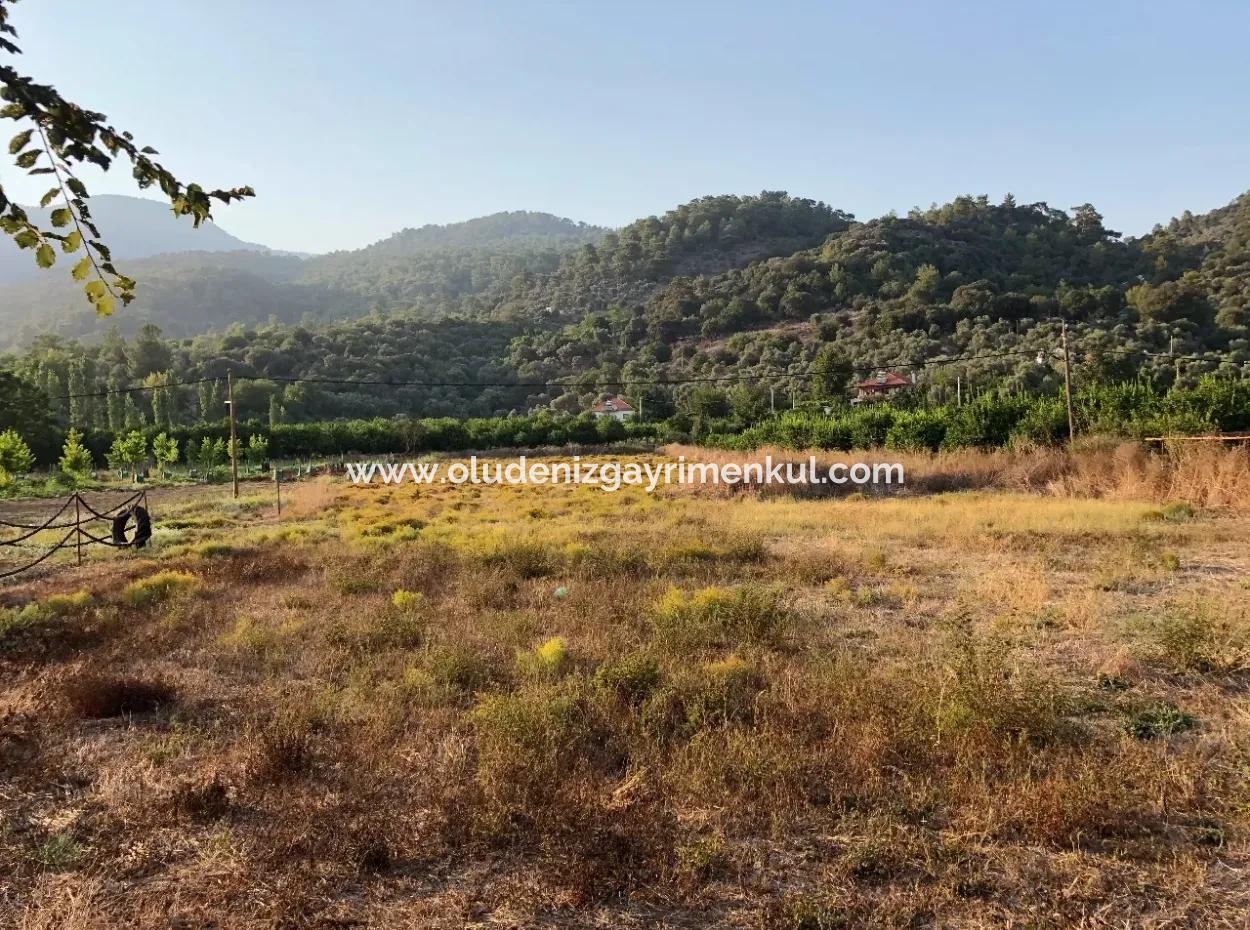 2300M2 Land For Sale Near The Center Of The Land For Sale
