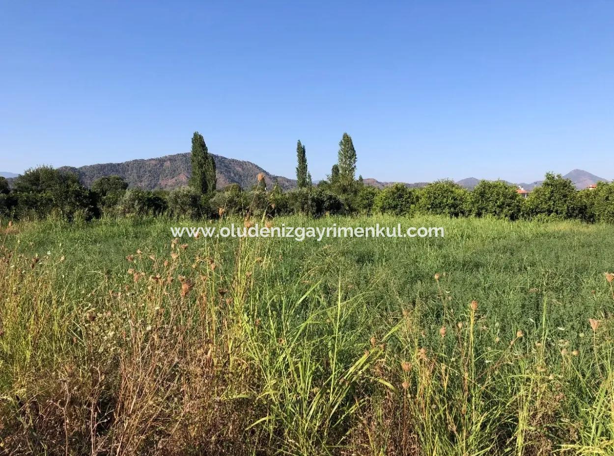 Land For Sale In The Center 891M2 Land For Sale