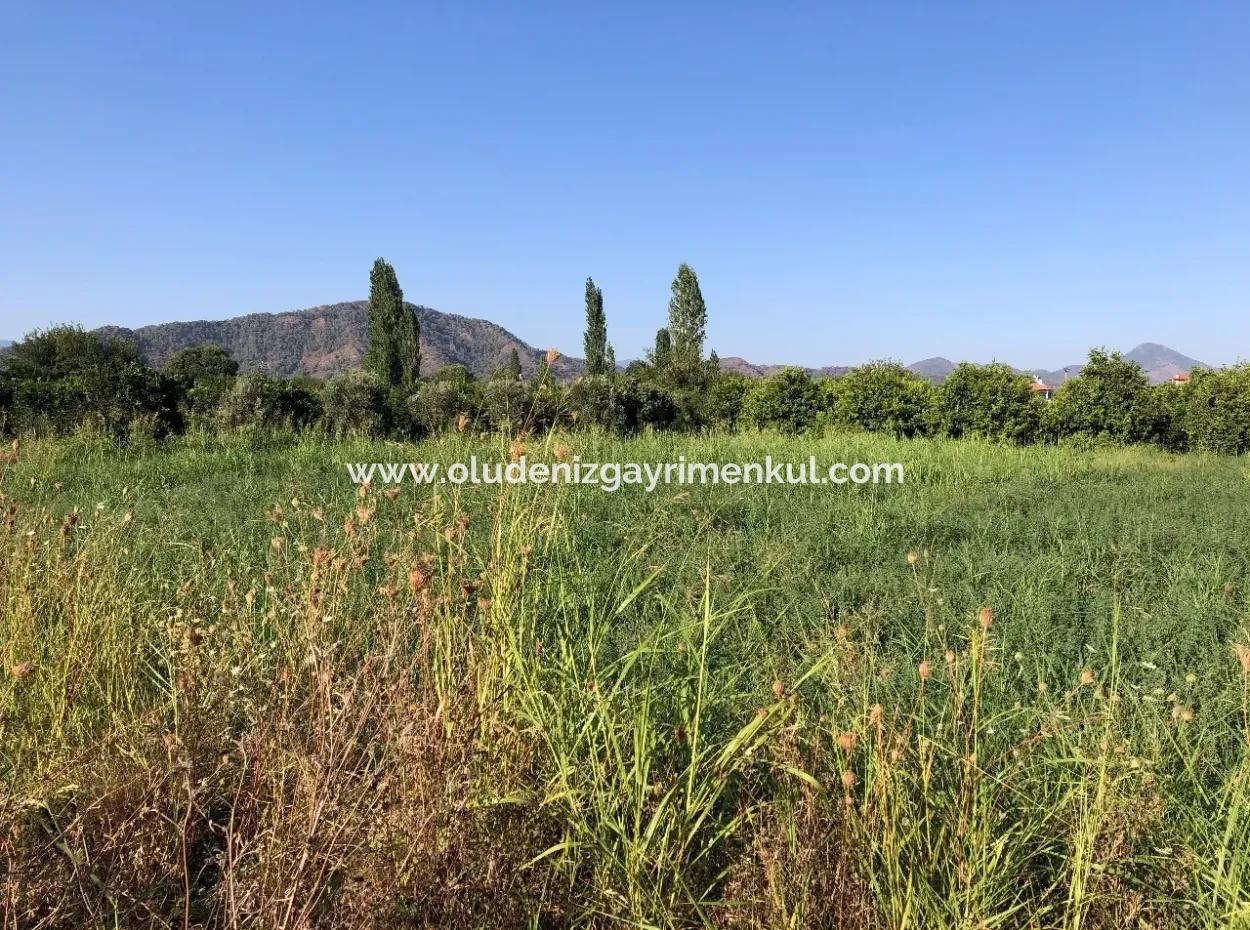 Land For Sale In The Center 891M2 Land For Sale