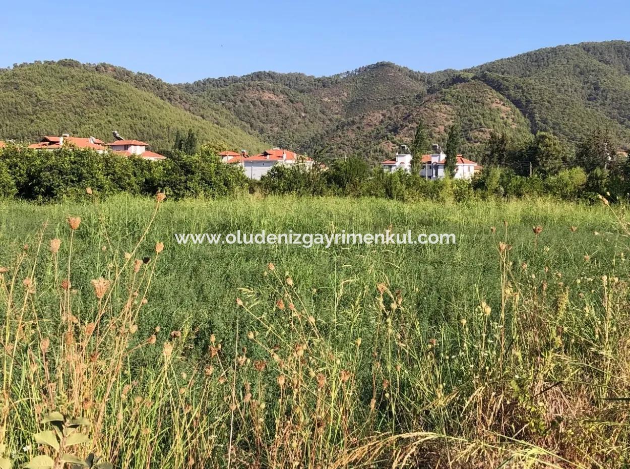 Land For Sale In The Center 891M2 Land For Sale