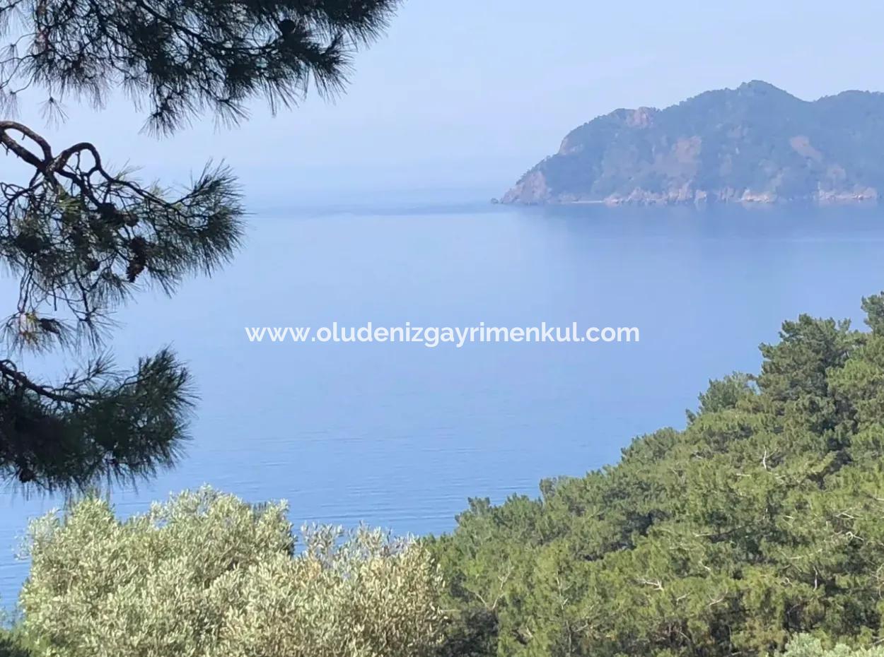 7034M2 Field For Sale With Sea View In Çandir