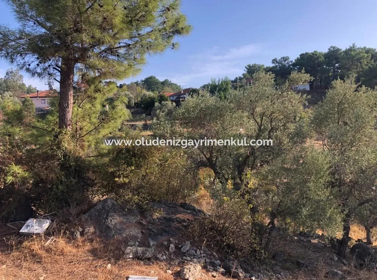 Gökbel Land For Sale 1000M2 Land For Sale With Sea Views
