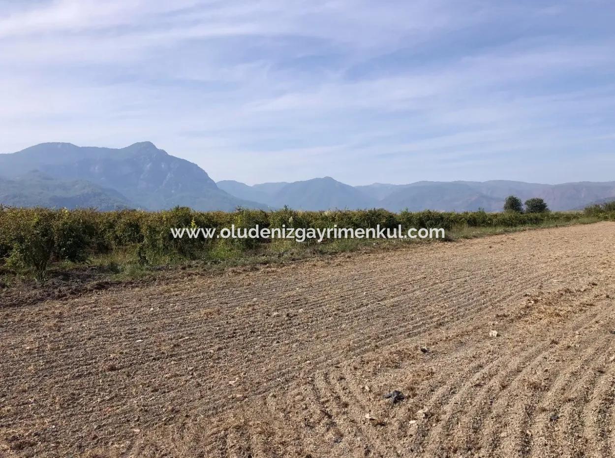 Land For Sale In Esköy 8500M2 Field Land For Sale