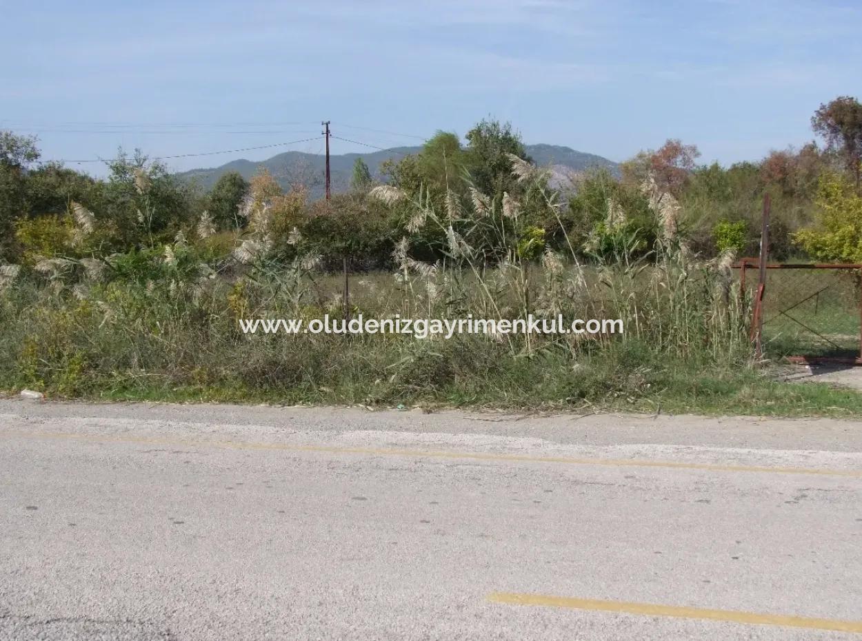 Land For Sale In Guzelyurt Land For Sale Zero 5515M2 Land For Sale On The Main Road