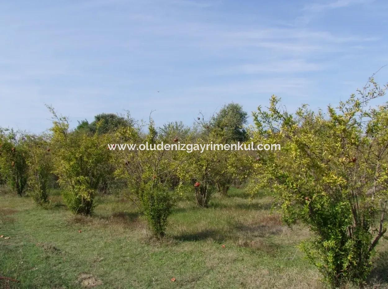 Güzelyurt Land For Sale Village Built 6670M2 Land For Sale