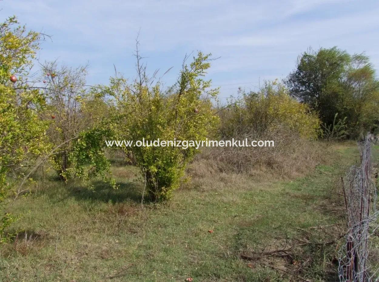 Güzelyurt Land For Sale Village Built 6670M2 Land For Sale