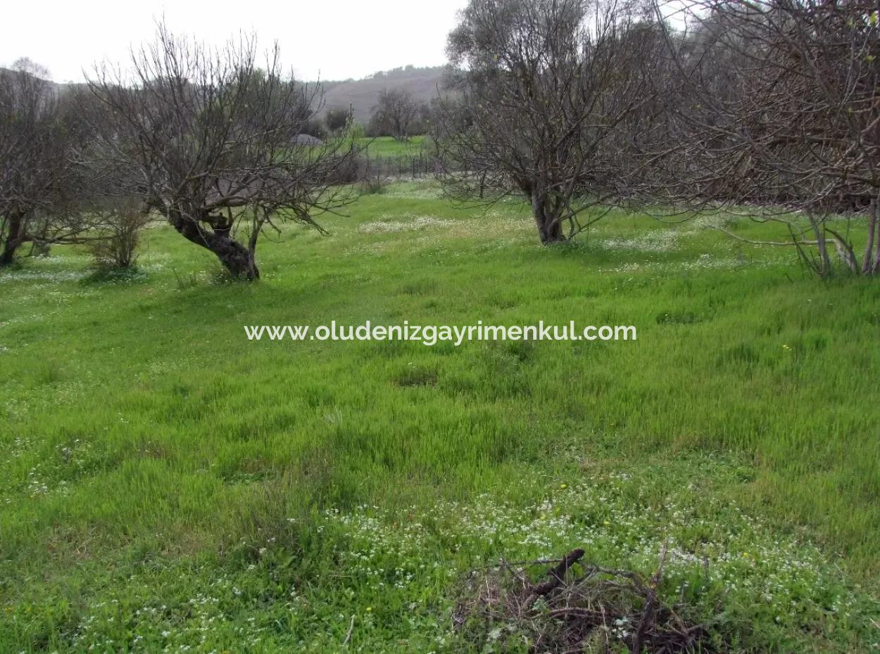 In Incirkoy Uzumlu Fethiye Plot For Sale Farm For Sale In Incirkoy