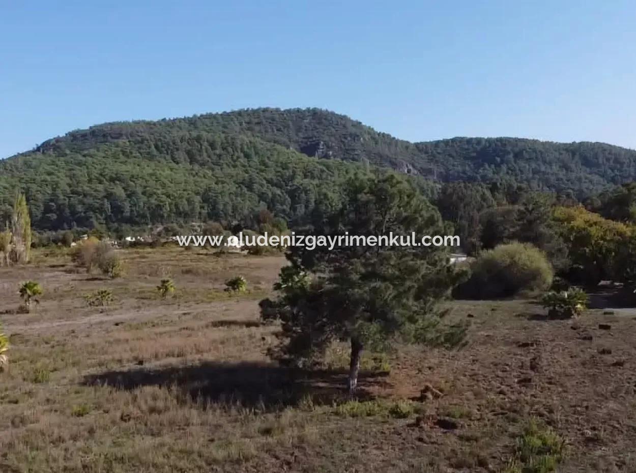 Land Land For Sale In Çamlıda Marmaris Çamlıda Sea View 11720M2 Land For Sale