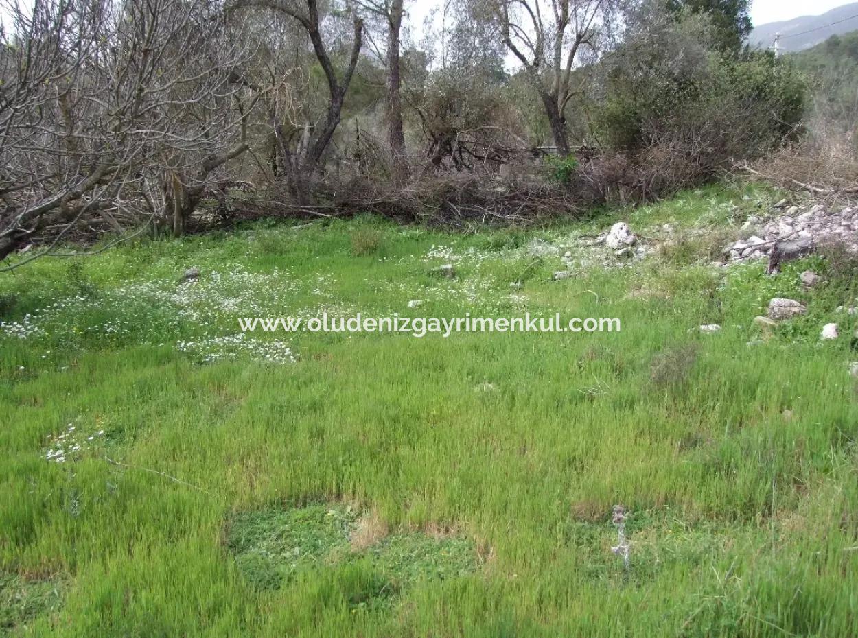 In Incirkoy Uzumlu Fethiye Plot For Sale Farm For Sale In Incirkoy