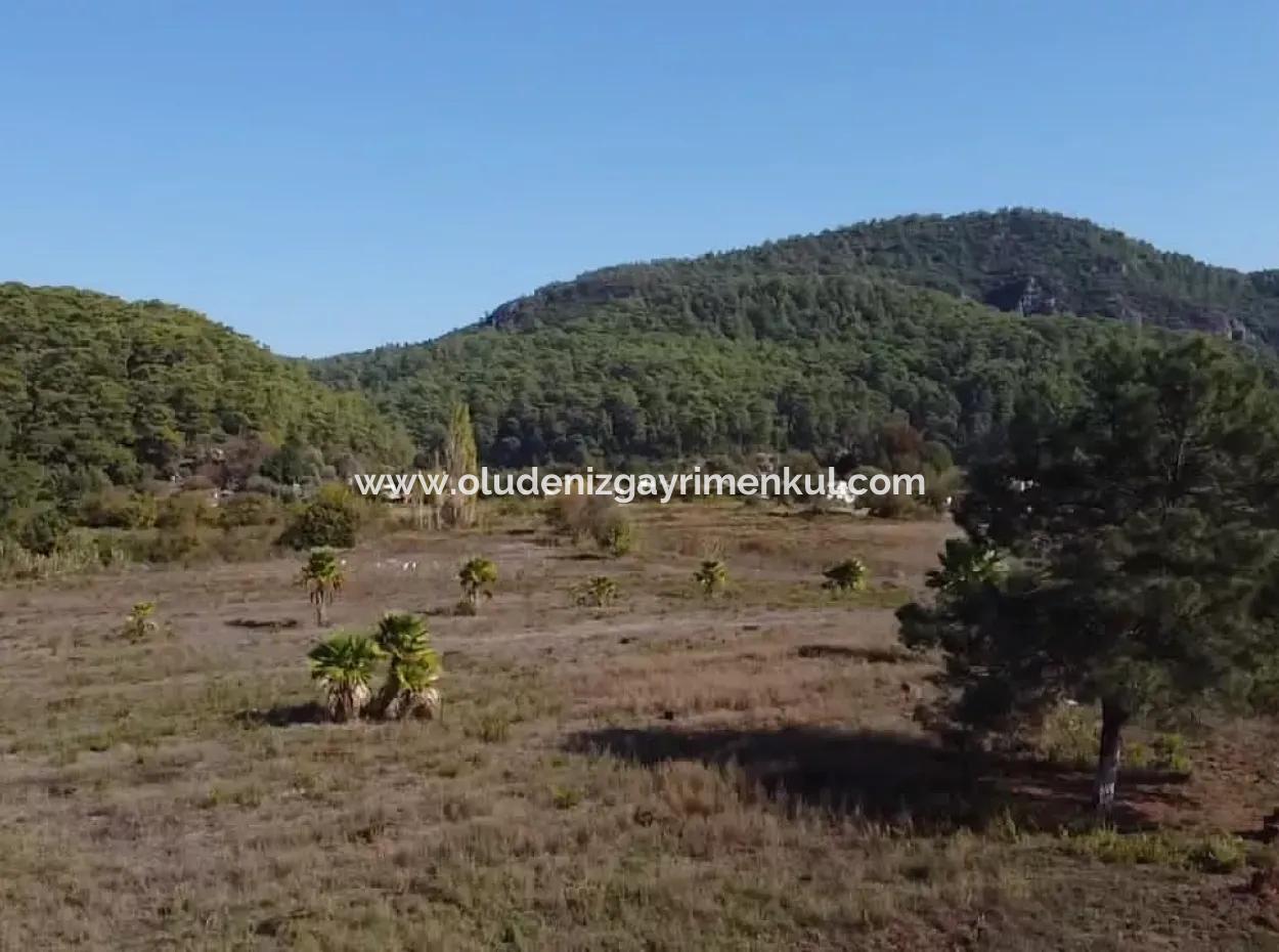 Land Land For Sale In Çamlıda Marmaris Çamlıda Sea View 11720M2 Land For Sale