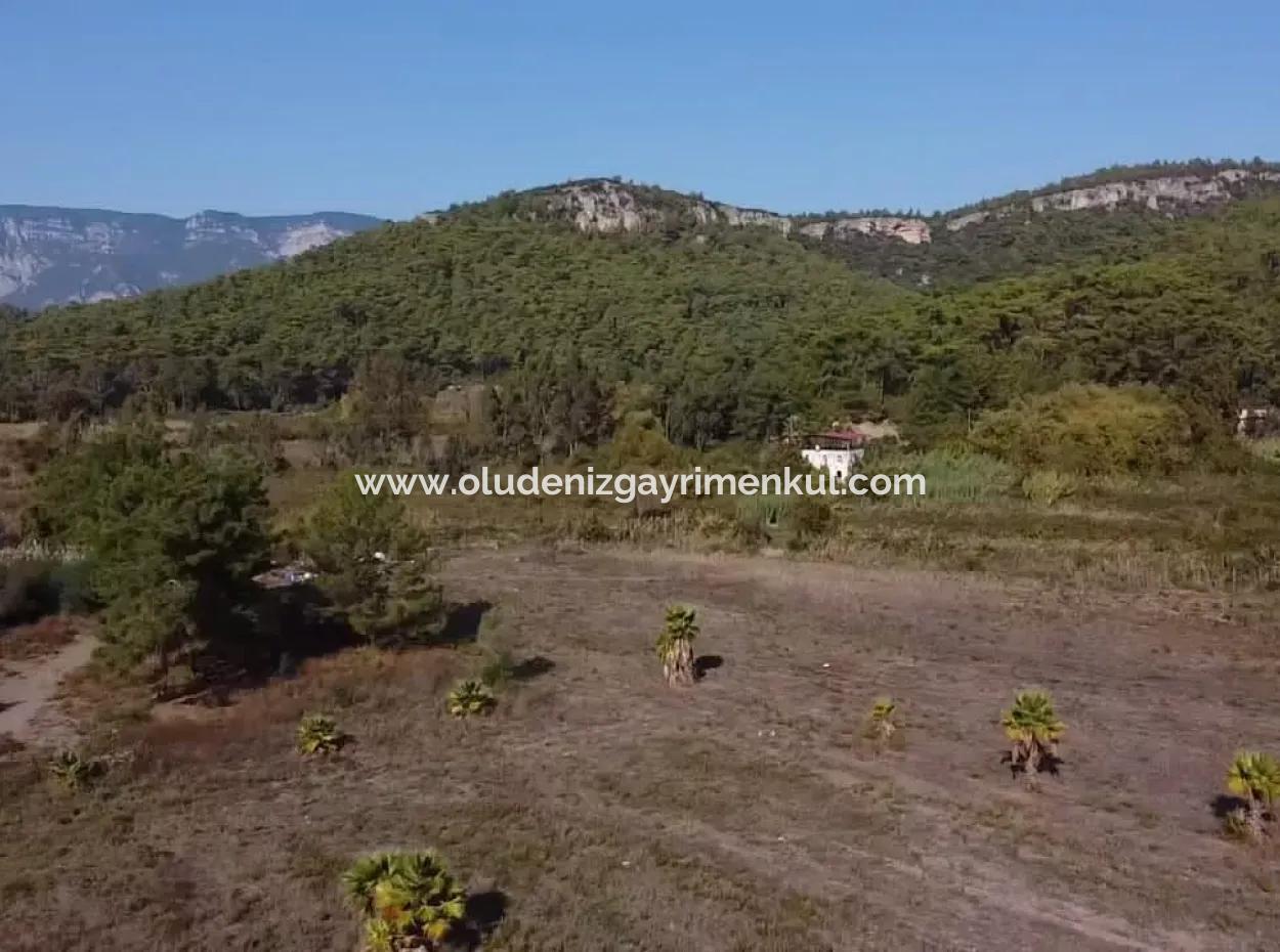 Land Land For Sale In Çamlıda Marmaris Çamlıda Sea View 11720M2 Land For Sale