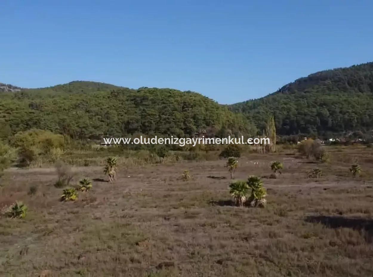 Land Land For Sale In Çamlıda Marmaris Çamlıda Sea View 11720M2 Land For Sale