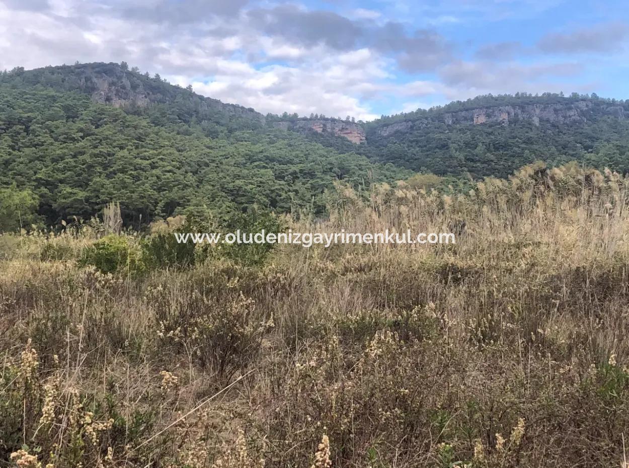 Land  For Sale Zero To Çamlı Canal 28768M2 Land For Sale With Sea View In Camlida
