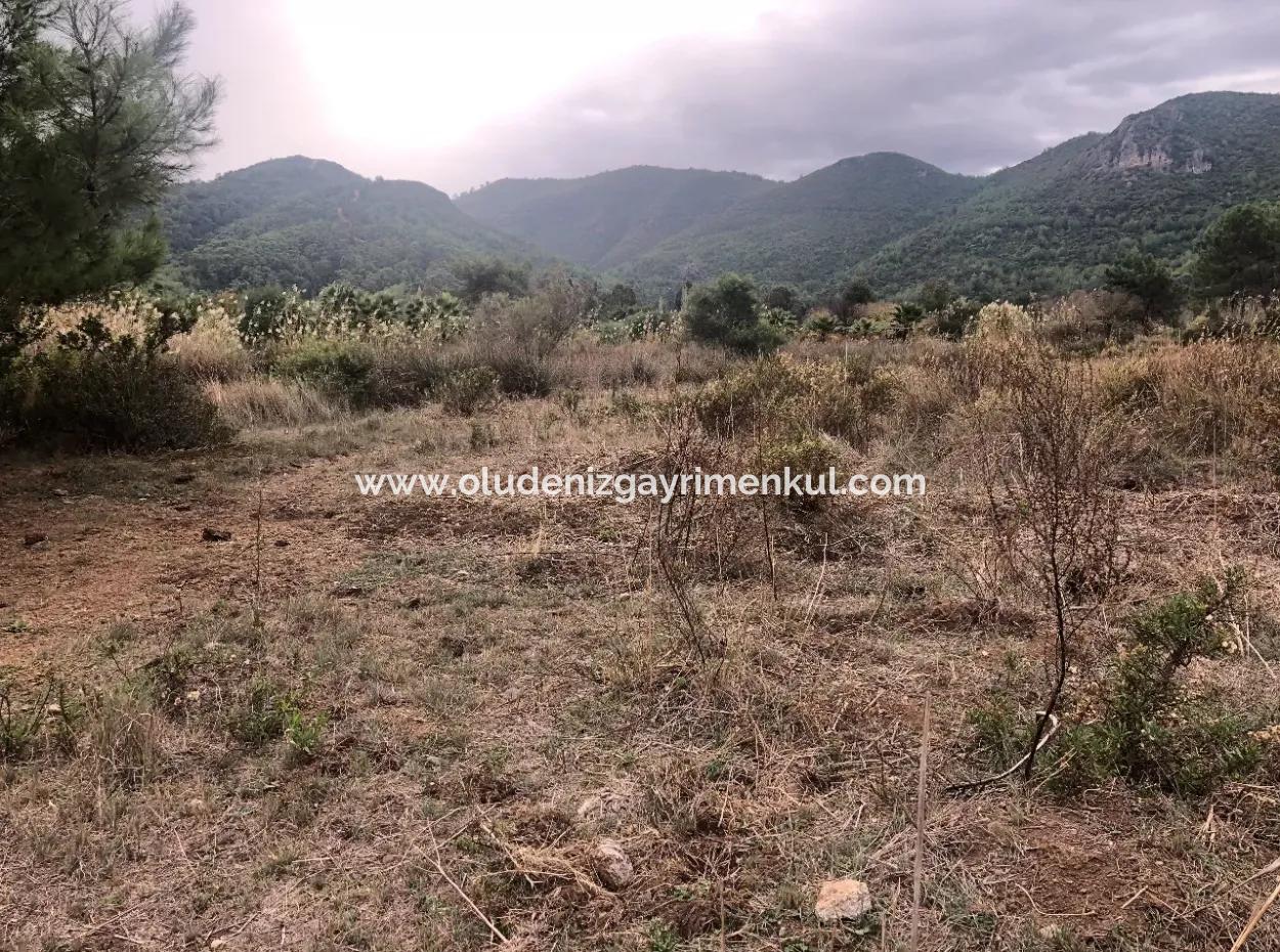 Land  For Sale Zero To Çamlı Canal 28768M2 Land For Sale With Sea View In Camlida