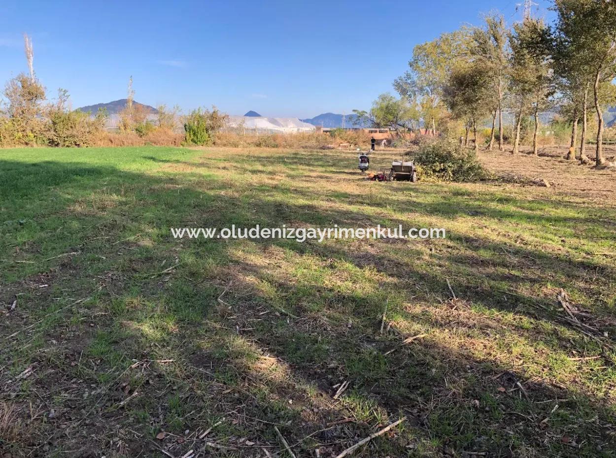 Land For Sale In Dalyan 2540M2