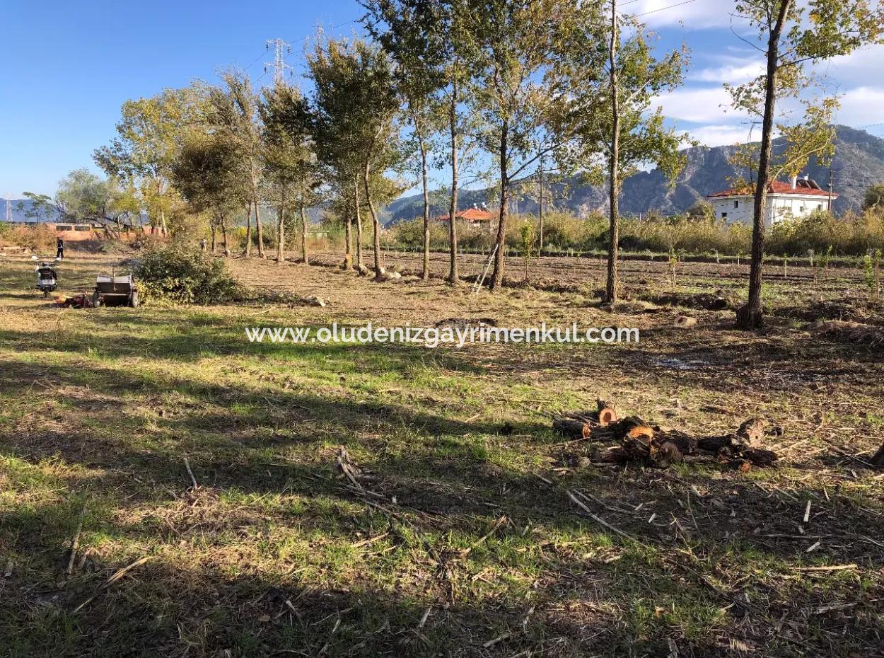 Land For Sale In Dalyan 2540M2