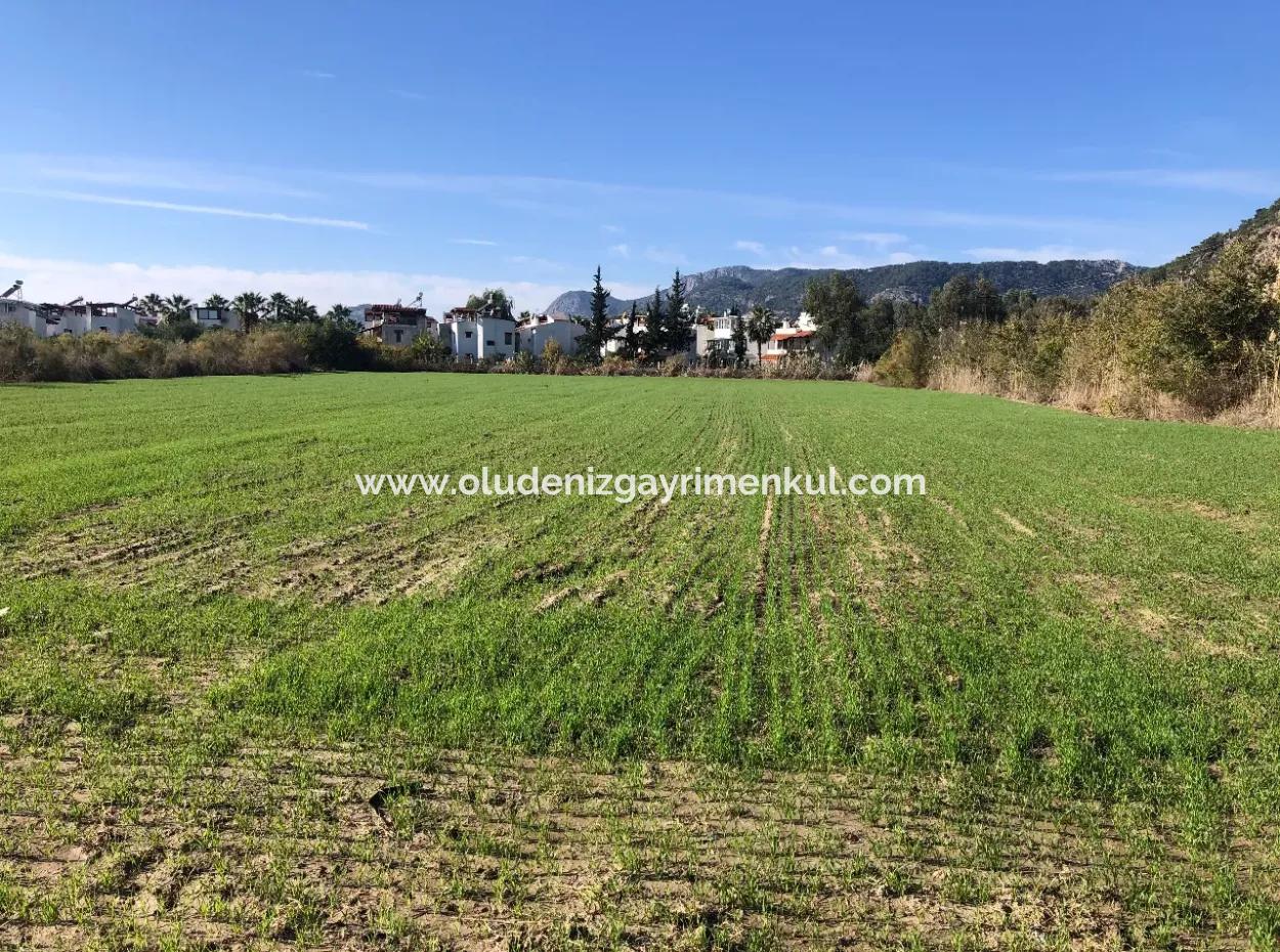 Land For Sale In Sarıgermede 30,000M2 Land For Sale With Sea View