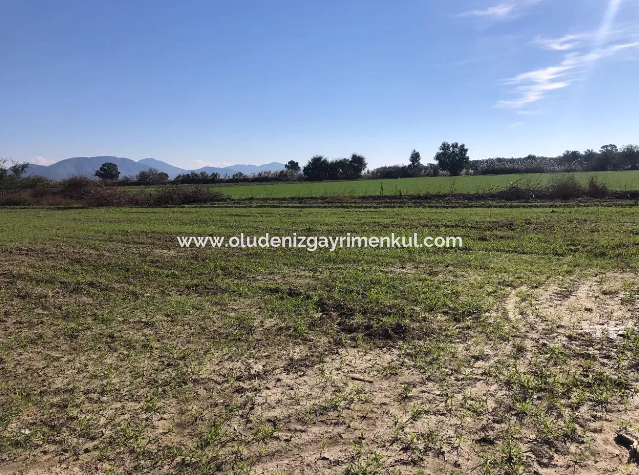 Land For Sale In Sarıgermede 30,000M2 Land For Sale With Sea View