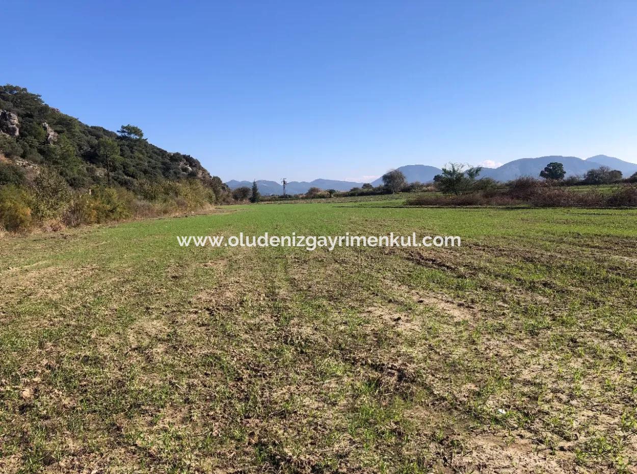 Land For Sale In Sarıgermede 30,000M2 Land For Sale With Sea View