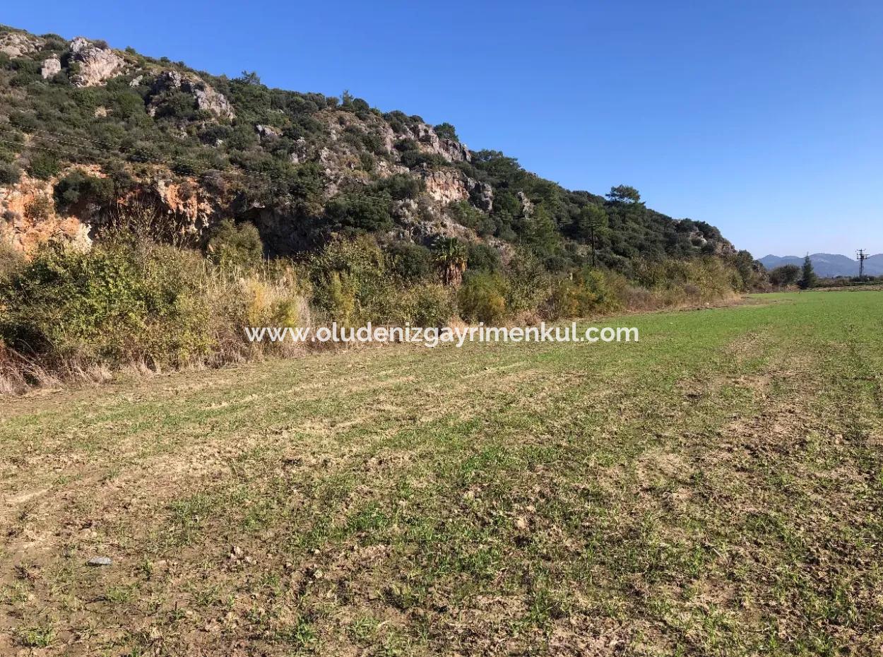 Land For Sale In Sarıgermede 30,000M2 Land For Sale With Sea View