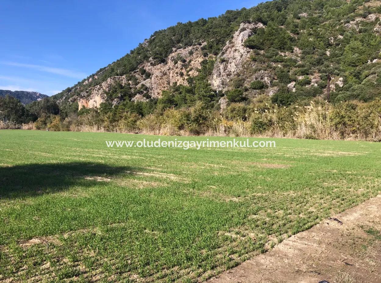 Land For Sale In Sarıgermede 30,000M2 Land For Sale With Sea View