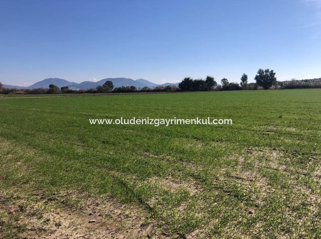 Land For Sale In Sarıgermede 30,000M2 Land For Sale With Sea View