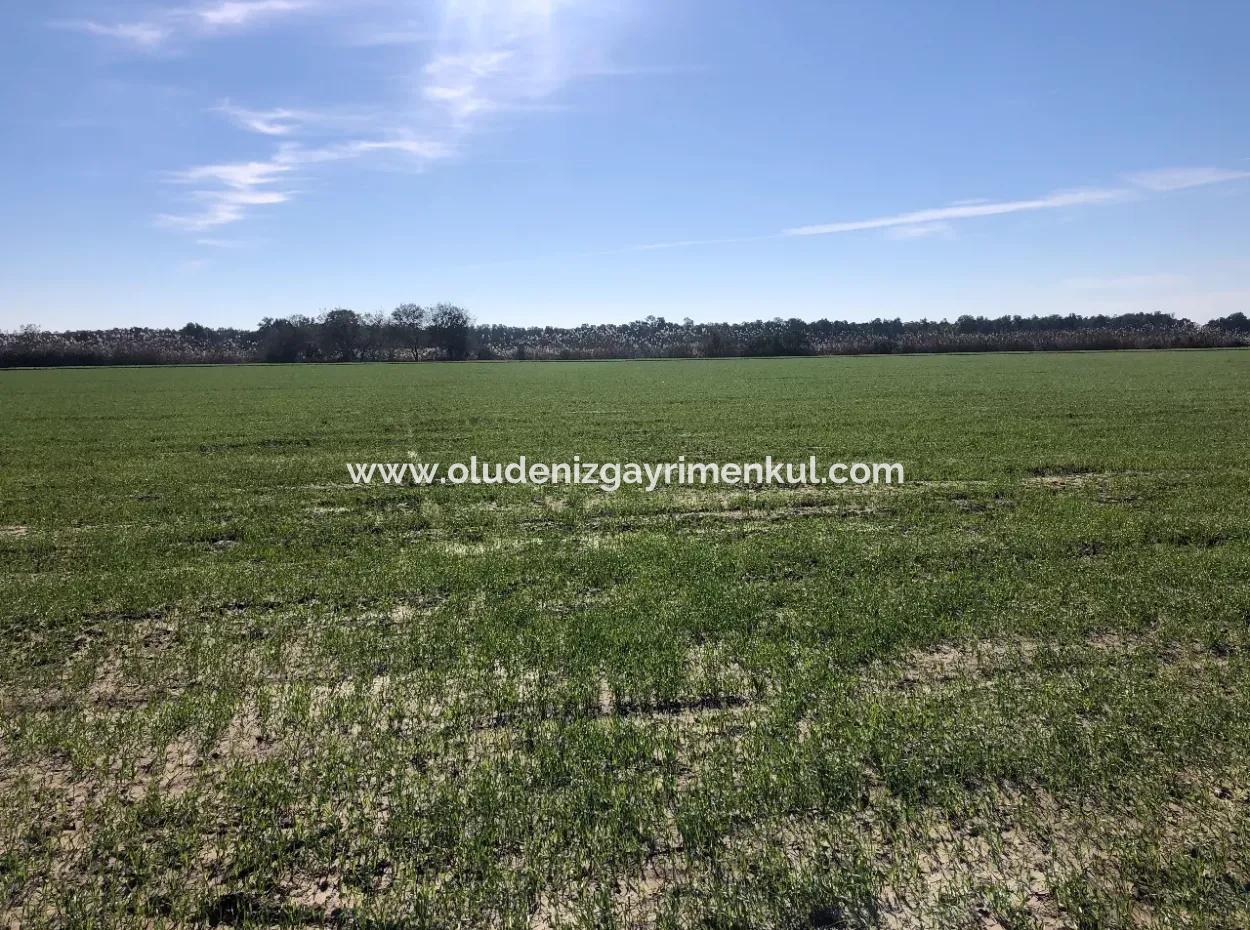 Land For Sale In Sarıgermede 30,000M2 Land For Sale With Sea View