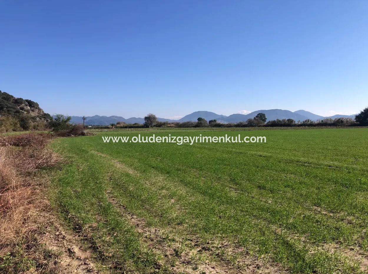 Land For Sale In Sarıgermede 30,000M2 Land For Sale With Sea View