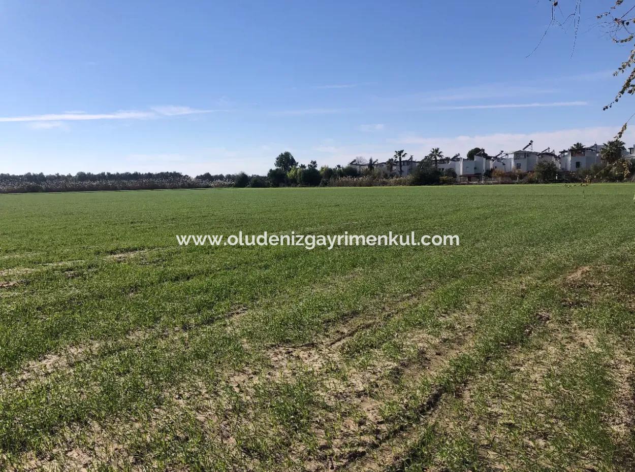 Land For Sale In Sarıgermede 30,000M2 Land For Sale With Sea View