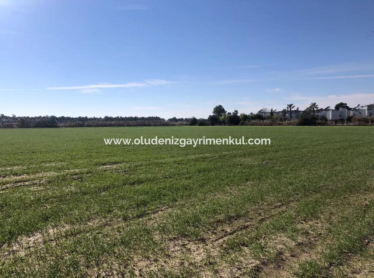 Land For Sale In Sarıgermede 30,000M2 Land For Sale With Sea View