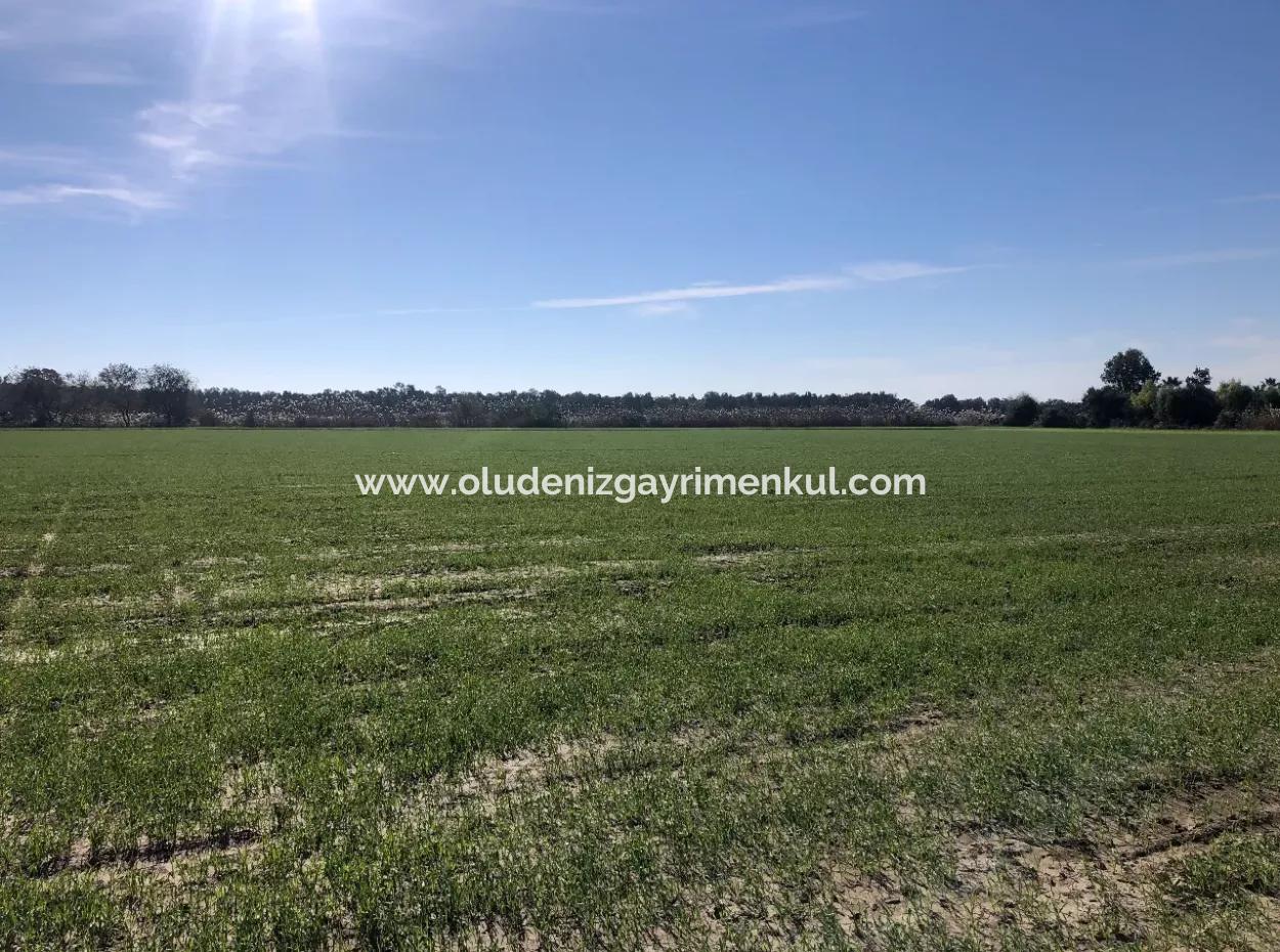 Land For Sale In Sarıgermede 30,000M2 Land For Sale With Sea View