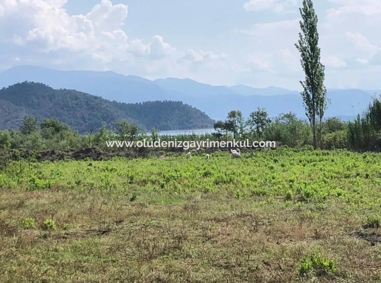 Sultaniye Sultaniye Koycegiz Lake Plot For Sale For Sale In By The Sea