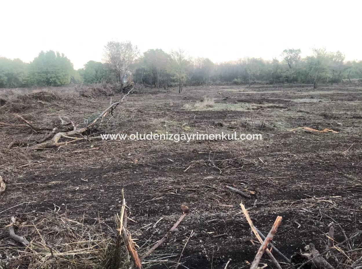 Sultaniye Land For Sale Near 10577M2 Lake Land For Sale