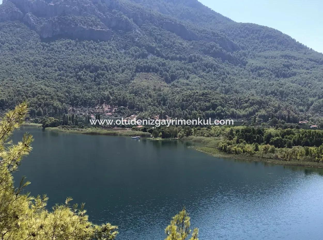 Sultaniye Land For Sale Near 10577M2 Lake Land For Sale