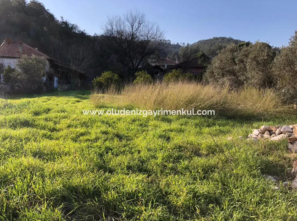 777M2 Land For Sale In Ula Sarayyanı