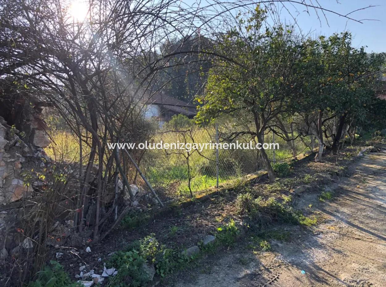 777M2 Land For Sale In Ula Sarayyanı