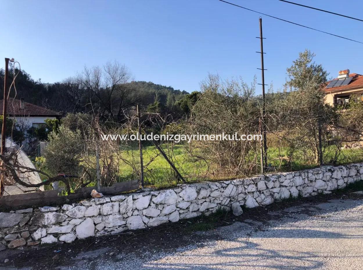 777M2 Land For Sale In Ula Sarayyanı