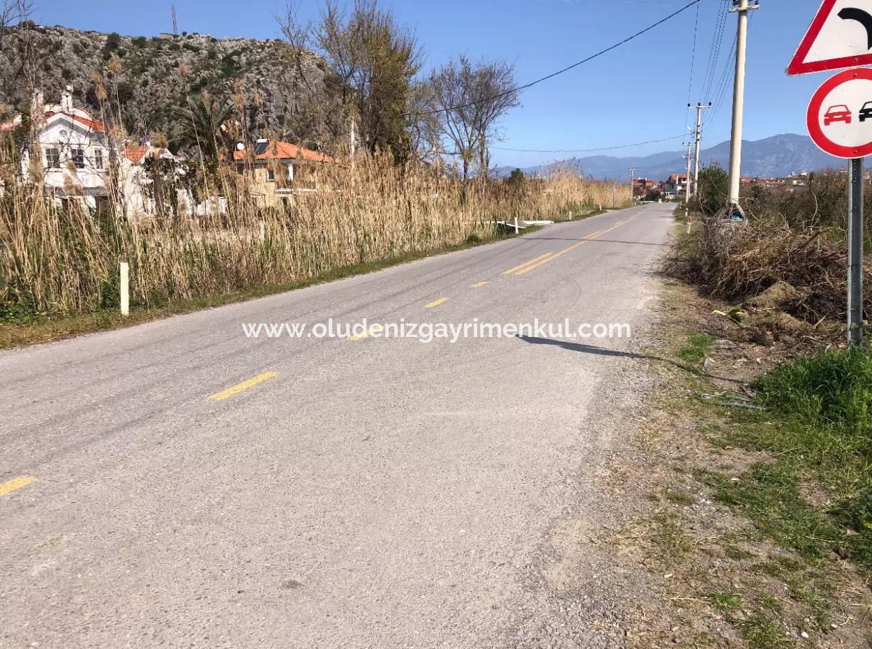 5500M2 Land For Sale In Dalyan
