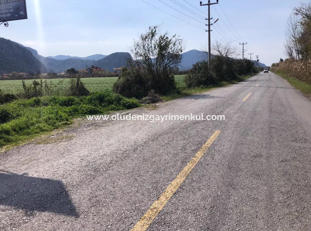 5500M2 Land For Sale In Dalyan