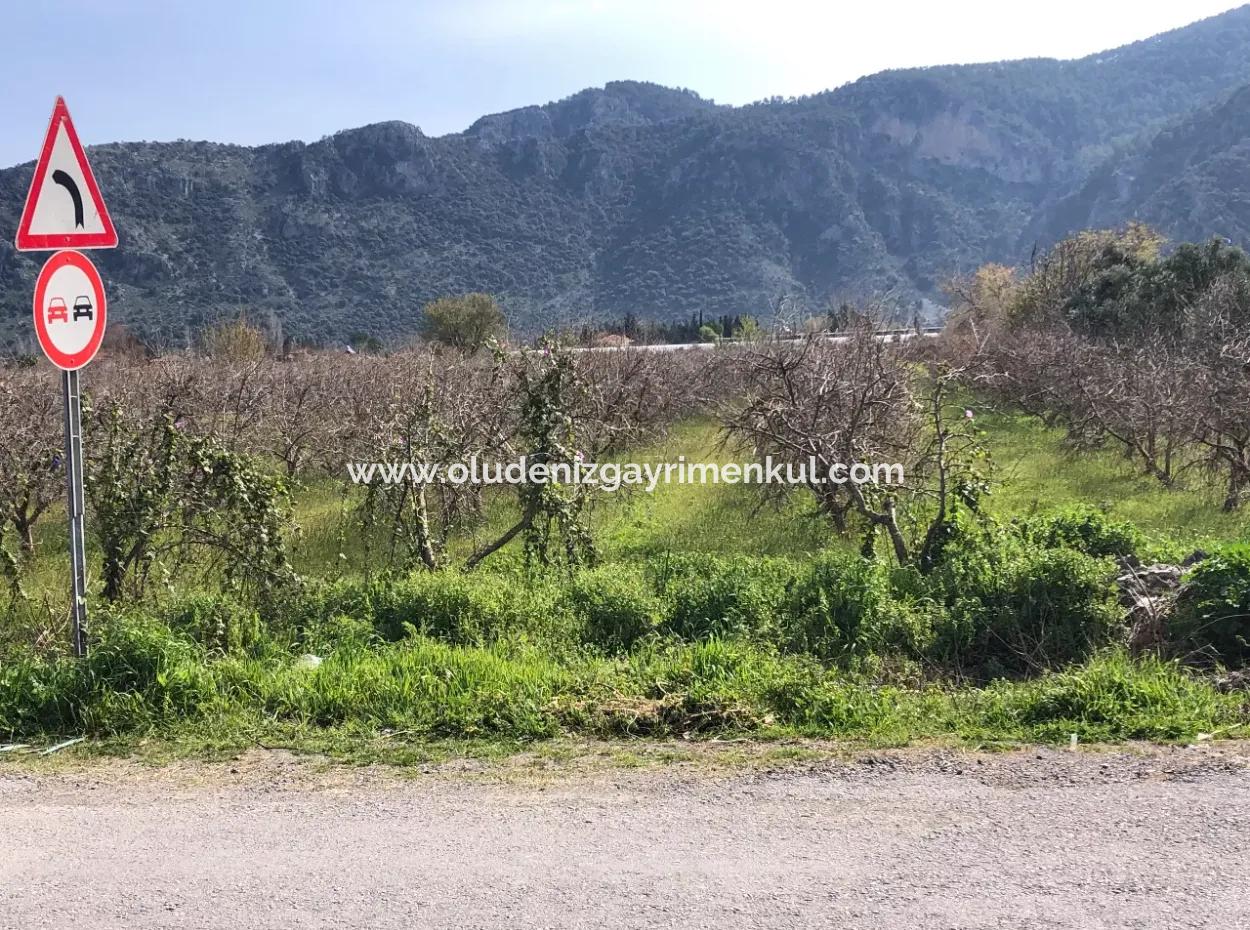 5500M2 Land For Sale In Dalyan