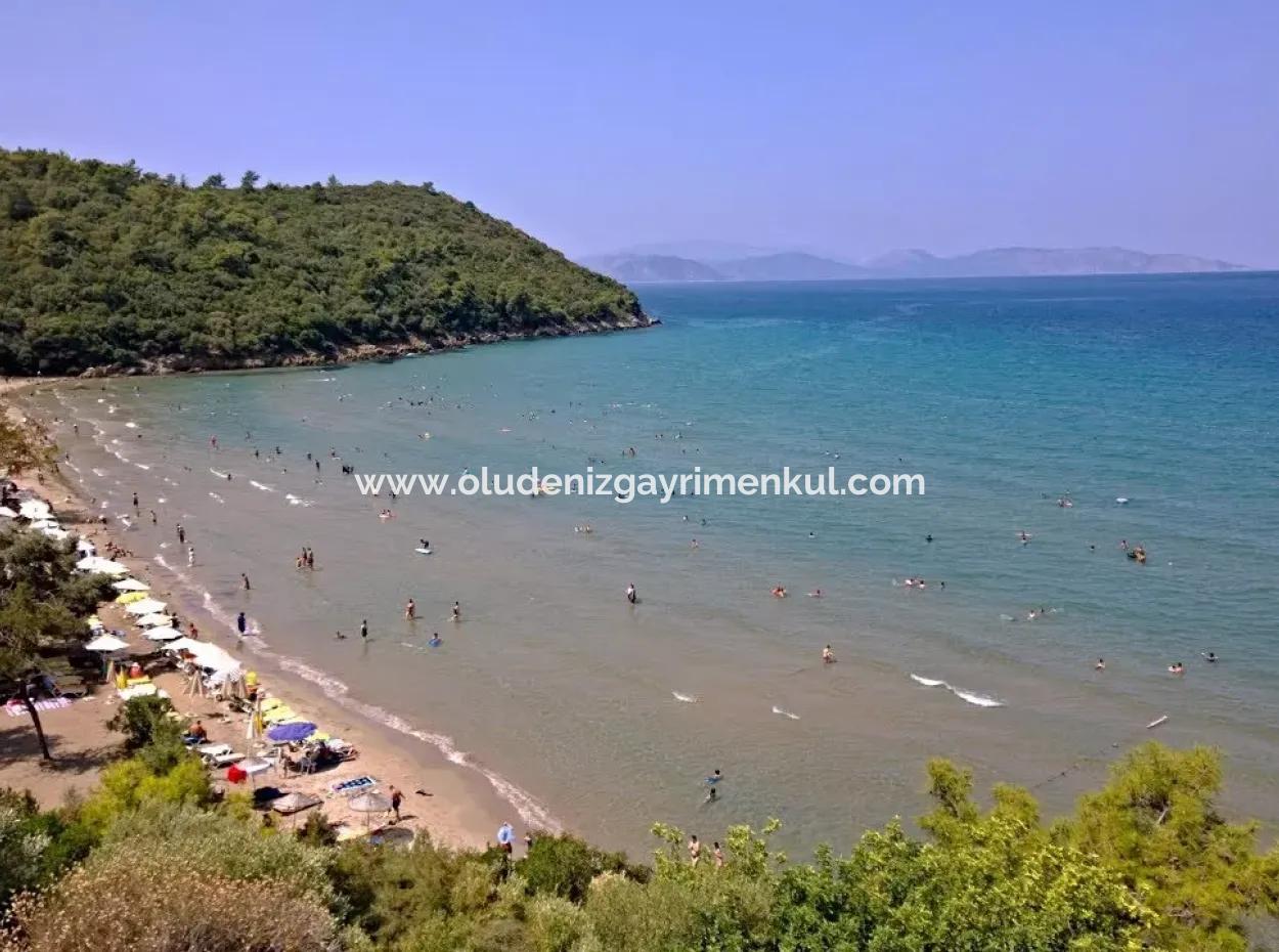 Land For Sale In Guzelçamlı With Sea View 3733M2 % Zoning Land For Sale