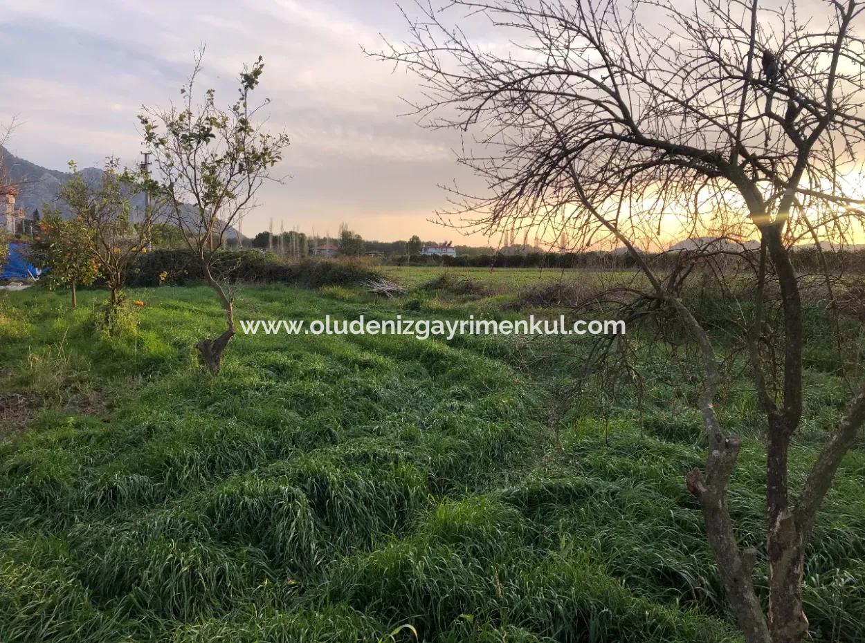 In Okçular Land For Sale 4707M2 Land For Sale