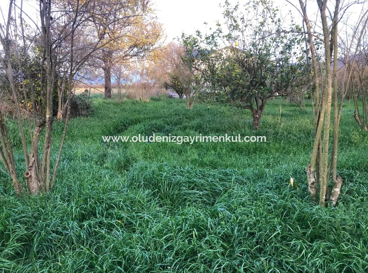 In Okçular Land For Sale 4707M2 Land For Sale